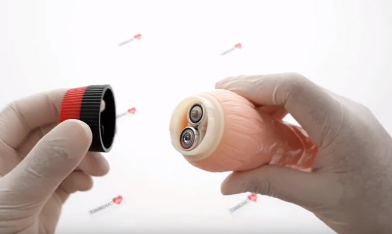 duong-vat-gia-rockin-dong-8